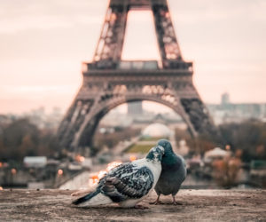 Photo by Fabrizio Verrecchia on Unsplash