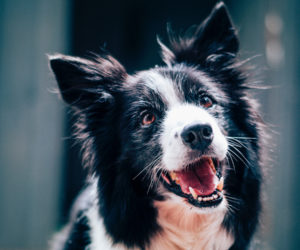 Photo by Baptist Standaert on Unsplash