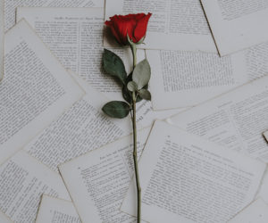 Photo by Annie Spratt on Unsplash