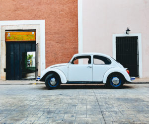 Photo by Dan Gold on Unsplash