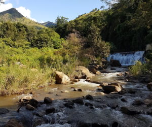 RIVIERE SAUVAGE EN MONTAGNE