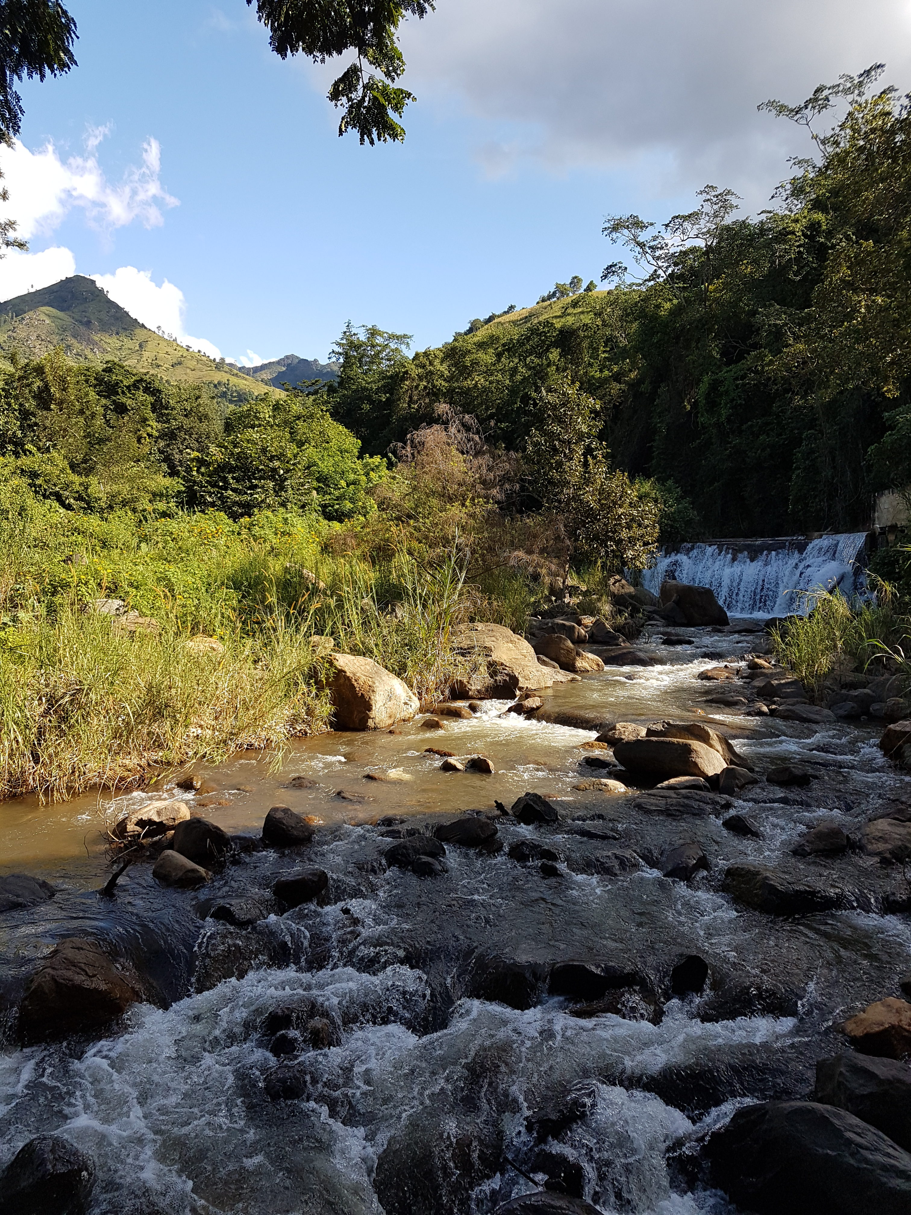 RIVIERE SAUVAGE EN MONTAGNE